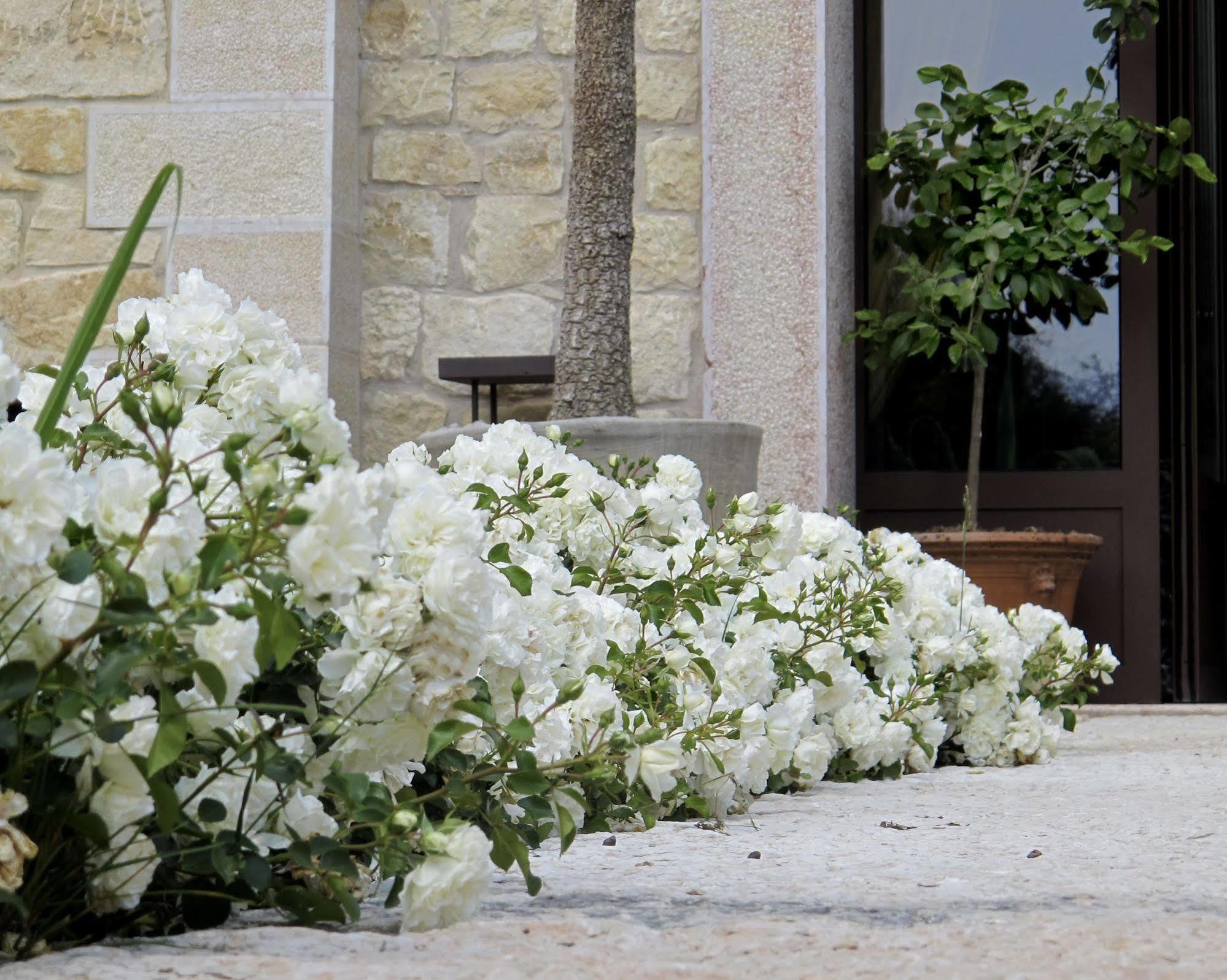 Delser Verona Manor House Exterior photo